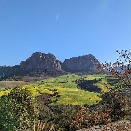 Cortijo Sylvestre Bed & Breakfast Riogordo ภายนอก รูปภาพ