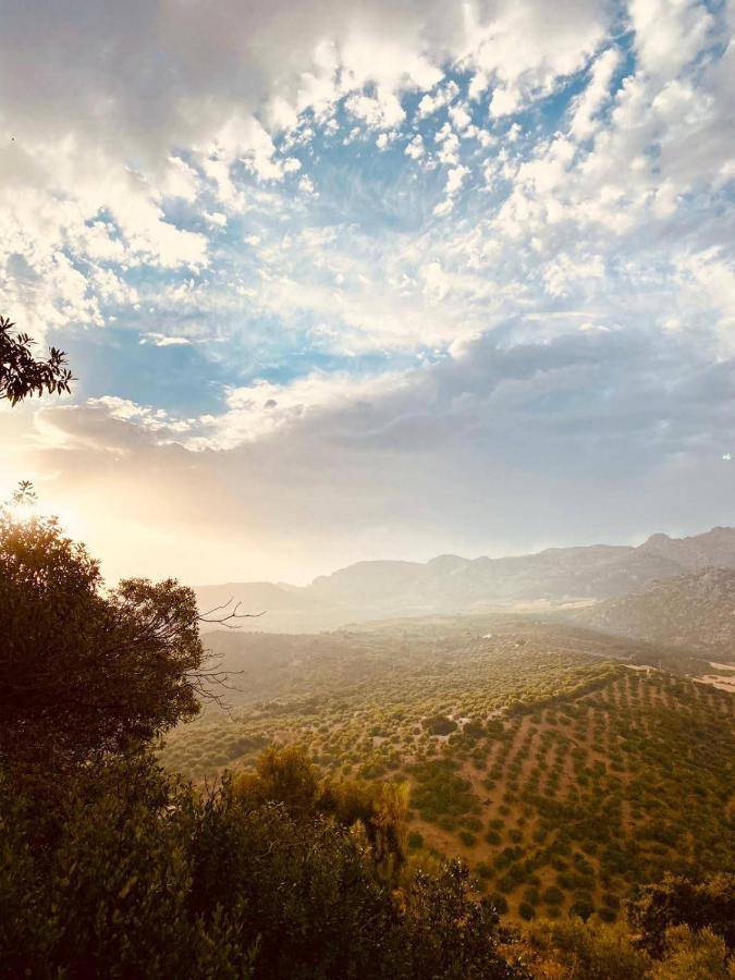 Cortijo Sylvestre Bed & Breakfast Riogordo ภายนอก รูปภาพ